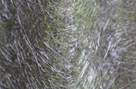 Kilchoan fibreglass roof work